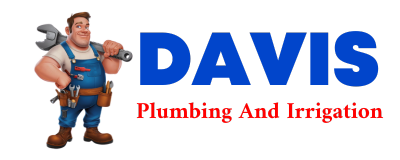 Trusted plumber in DE BERRY